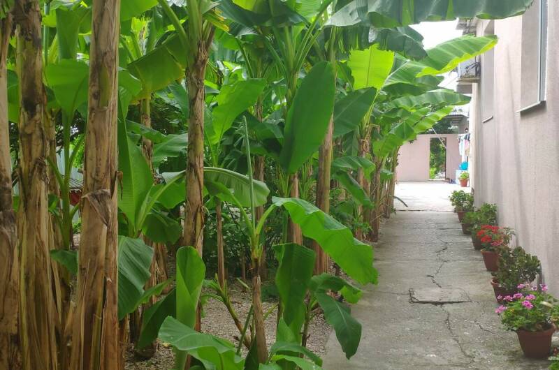 Изображение Изображение гостиницы &quot;Гостевой дом «Ангелина»&quot; #9 #7