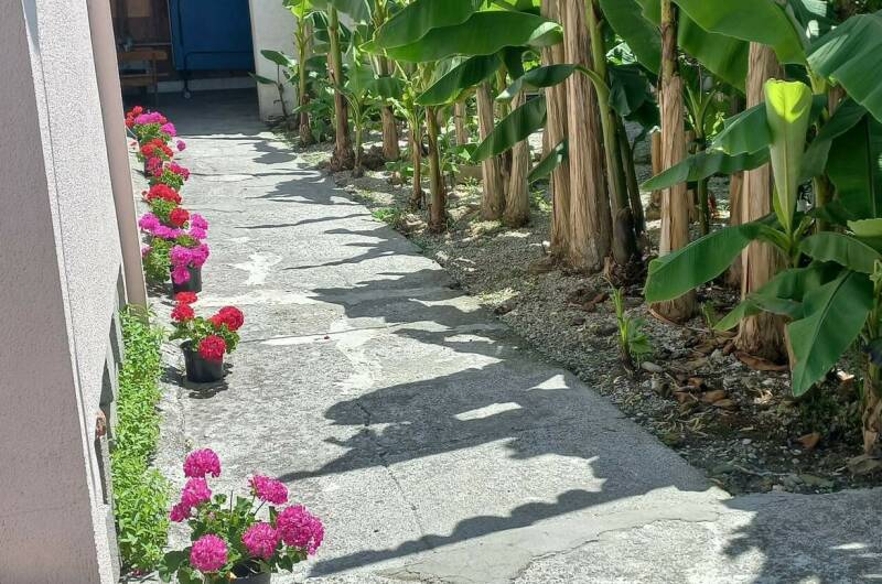 Изображение Изображение гостиницы &quot;Гостевой дом «Ангелина»&quot; #11 #9