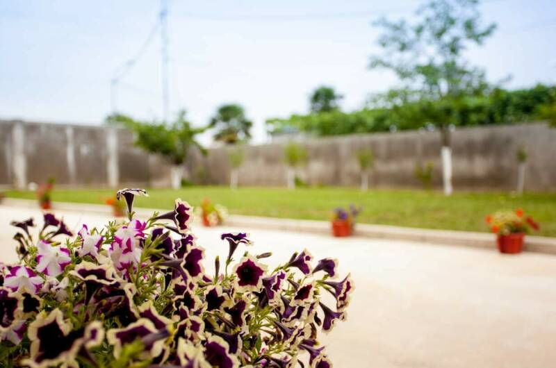 Изображение Изображение гостиницы &quot;Гостевой дом «100 метров от моря»&quot; #10 #8