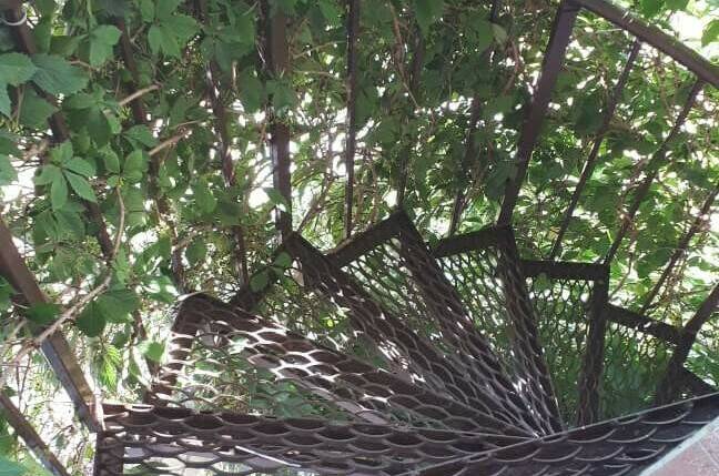 Изображение Изображение гостиницы &quot;Гостиница «Лидия»&quot; #6 #4