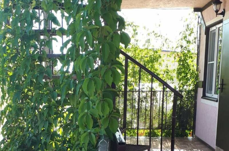 Изображение Изображение гостиницы &quot;Гостиница «Лидия»&quot; #7 #5