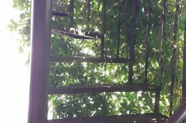 Изображение Изображение гостиницы &quot;Гостиница «Лидия»&quot; #8 #6