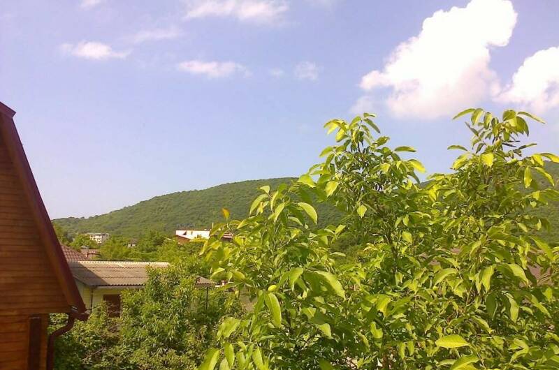 Изображение Изображение гостиницы &quot;Гостевой дом «Тихий дворик»&quot; #9 #7