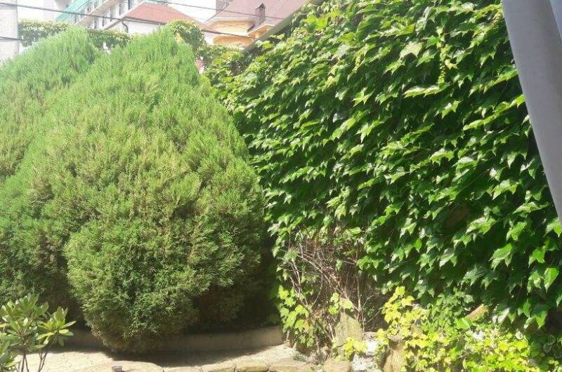 Изображение Изображение гостиницы &quot;Гостевой дом «Натали»&quot; #4 #2