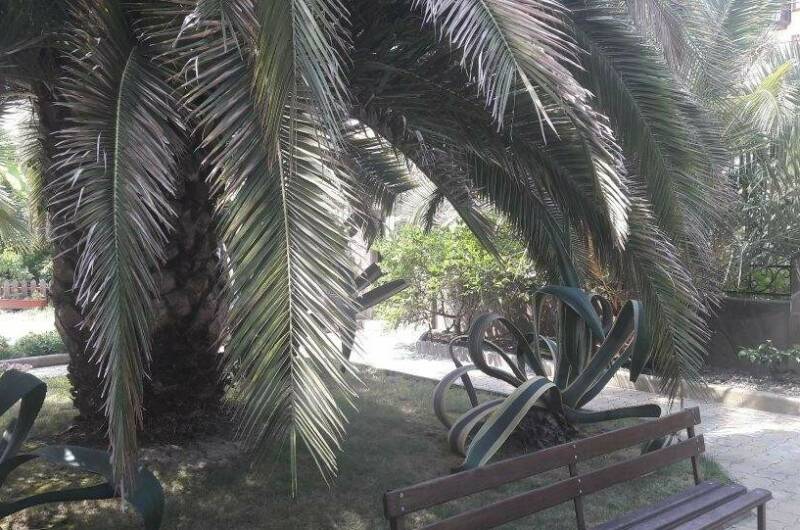 Изображение Изображение гостиницы &quot;Гостевой дом «Натали»&quot; #5 #3