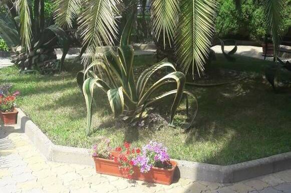 Изображение Изображение гостиницы &quot;Гостевой дом «Натали»&quot; #6 #4