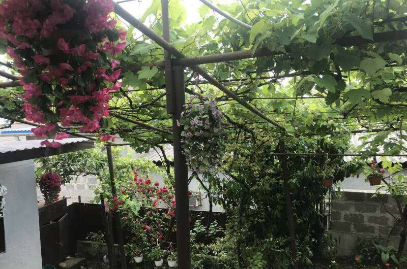 Изображение Изображение гостиницы &quot;Гостевой дом «Ольга»&quot; #5 #3