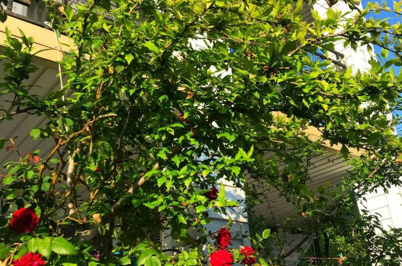 Изображение Изображение гостиницы &quot;Гостевой дом «РиМ»&quot; #11 #9