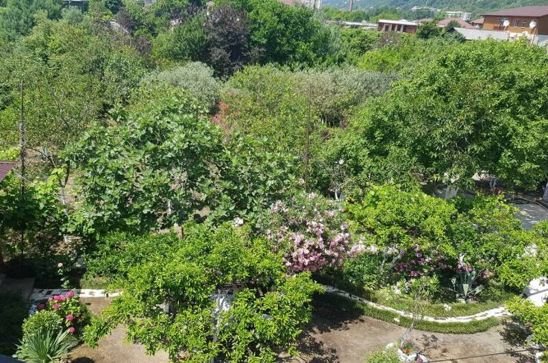 Изображение Изображение гостиницы &quot;Гостевой дом «Олеандр»&quot; #4 #2