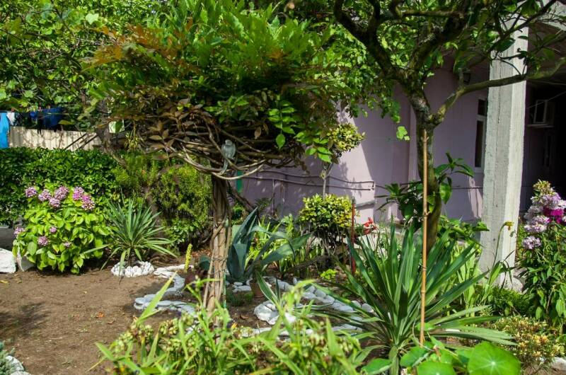 Изображение Изображение гостиницы &quot;Гостевой дом «Олеандр»&quot; #7 #5