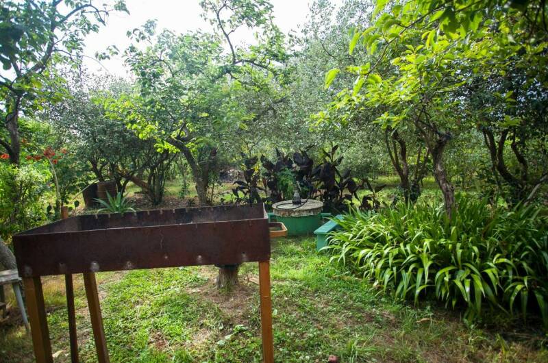 Изображение Изображение гостиницы &quot;Гостевой дом «Олеандр»&quot; #11 #9