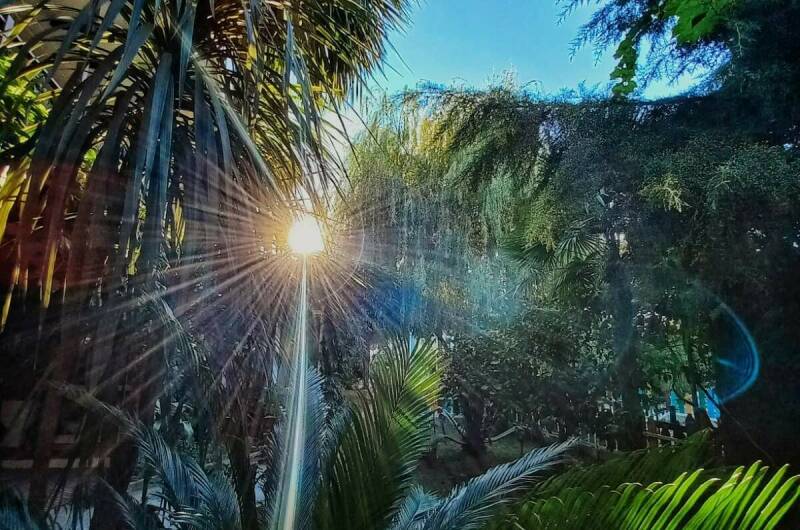 Изображение Изображение гостиницы &quot;Мини-отель «Бунгало»&quot; #8 #6