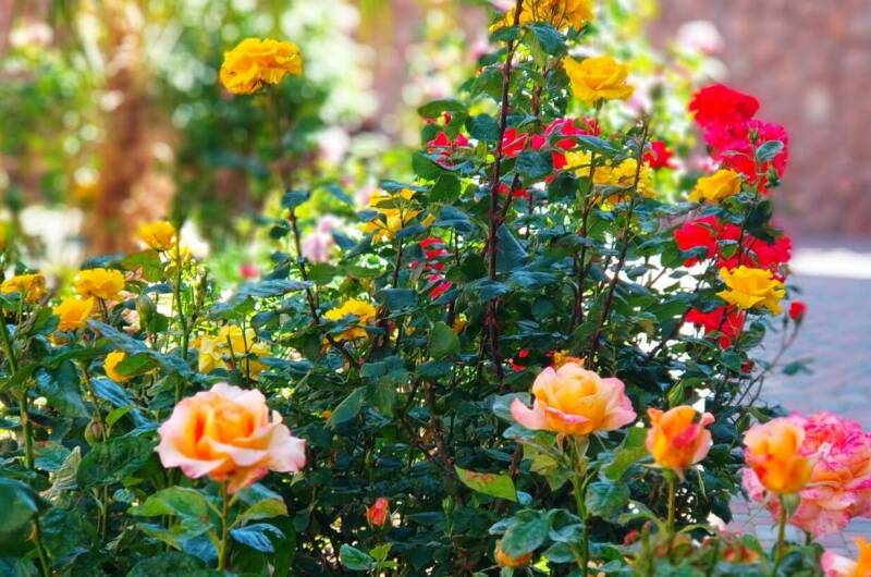 Изображение Изображение гостиницы &quot;Отель «Море Удачи»&quot; #3 #1