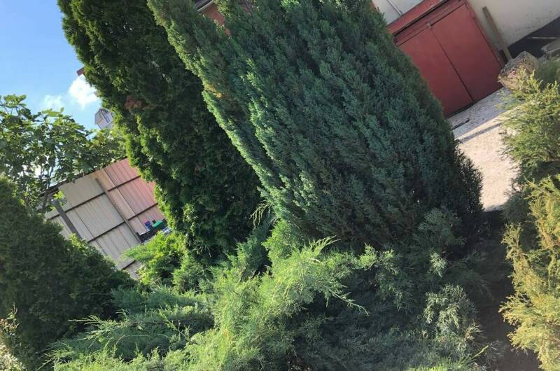 Изображение Изображение гостиницы &quot;Гостевой дом «Прохлада»&quot; #9 #7