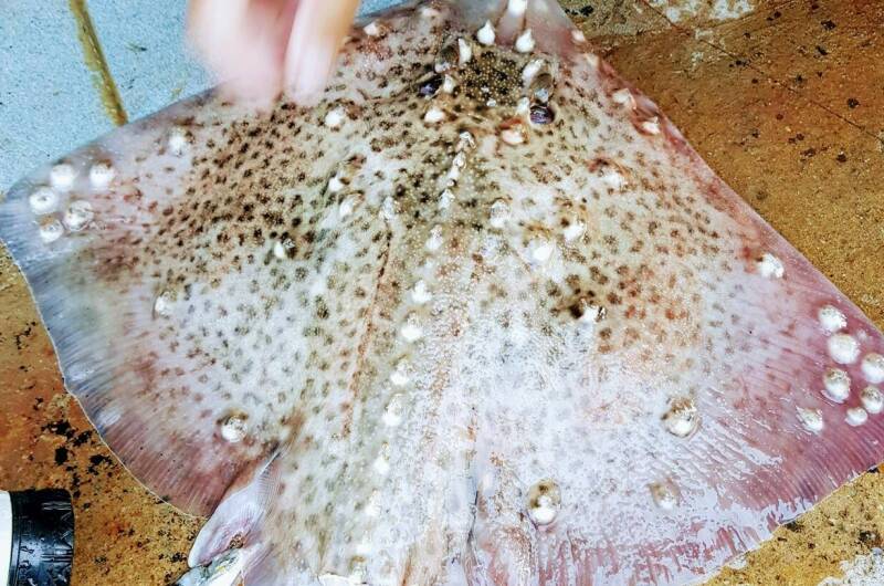 Изображение Изображение гостиницы &quot;Гостевой дом «У Ивана»&quot; #10 #8