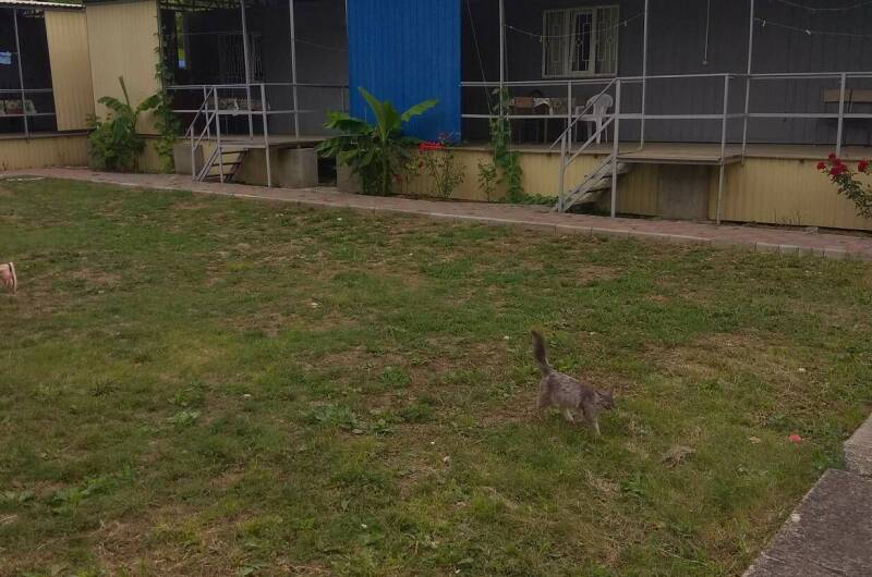 Изображение Изображение квартиры &quot;Домик под ключ на Ленина 13&quot; #8 #6