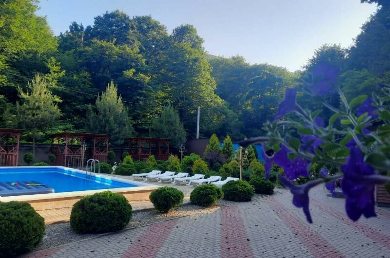 Изображение Изображение гостиницы &quot;Отель «Лесной»&quot; #6 #4