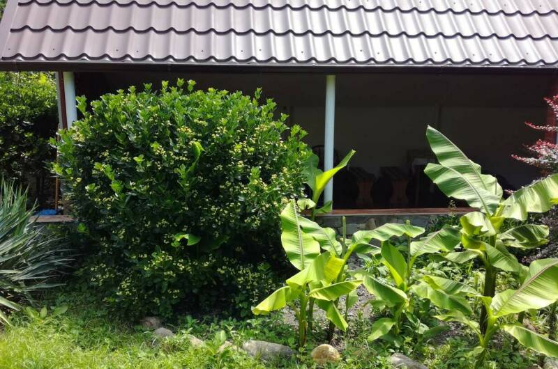 Изображение Изображение гостиницы &quot;Частный сектор&quot; #10 #8