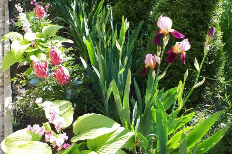 Изображение Изображение гостиницы &quot;Частная Усадьба «Лакшми»&quot; #3 #1