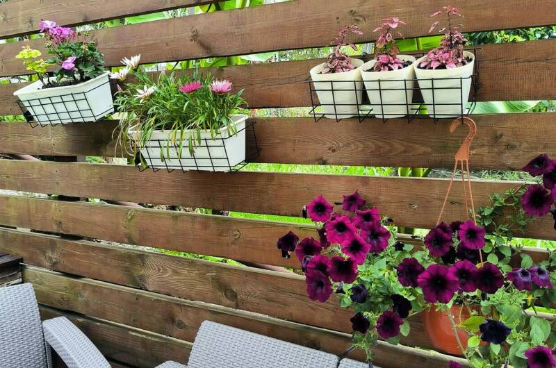 Изображение Изображение гостиницы &quot;Гостевой дом «Белый виноград»&quot; #7 #5