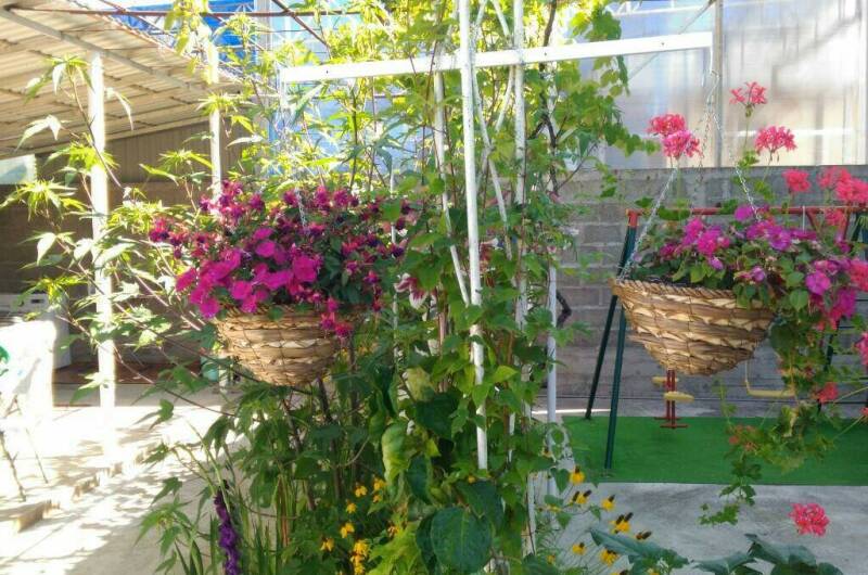 Изображение Изображение гостиницы &quot;Гостевой дом «Квартирки у моря» (кухня в номере)&quot; #4 #2