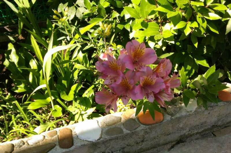 Изображение Изображение гостиницы &quot;Гостевой дом «Квартирки у моря» (кухня в номере)&quot; #6 #4