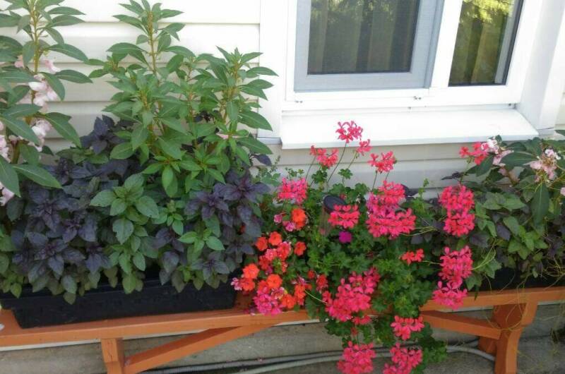 Изображение Изображение гостиницы &quot;Гостевой дом «Квартирки у моря» (кухня в номере)&quot; #9 #7