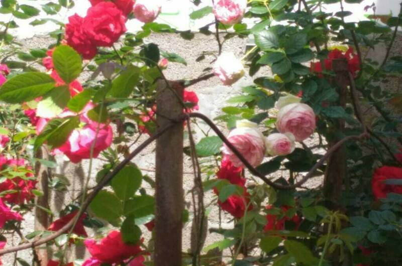 Изображение Изображение гостиницы &quot;Гостевой дом «Квартирки у моря» (кухня в номере)&quot; #10 #8