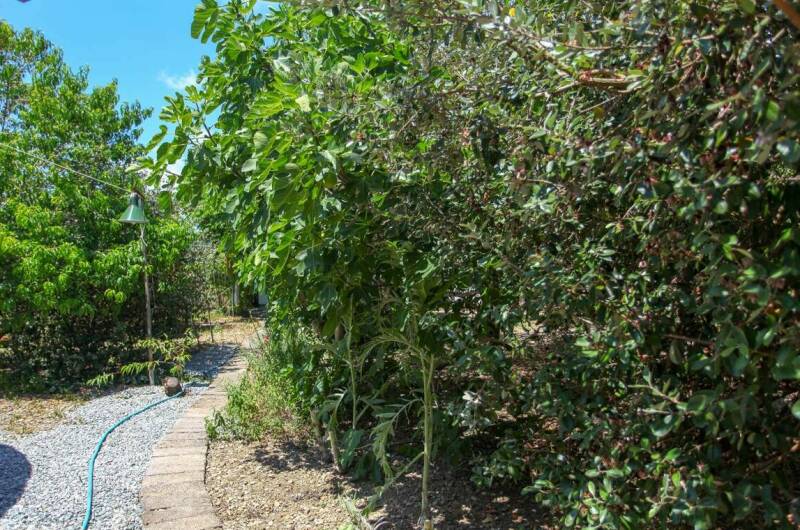 Изображение Изображение гостиницы &quot;Гостевой дом «Бригантина»&quot; #4 #2