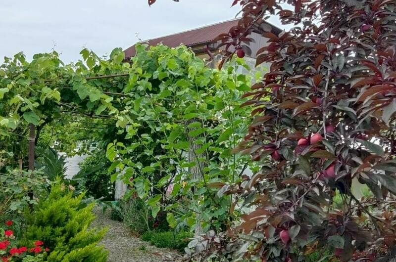 Изображение Изображение гостиницы &quot;Гостевой дом «Бригантина»&quot; #6 #4