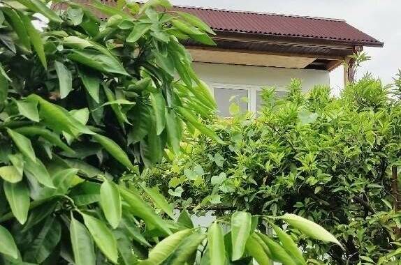 Изображение Изображение гостиницы &quot;Гостевой дом «Бригантина»&quot; #7 #5