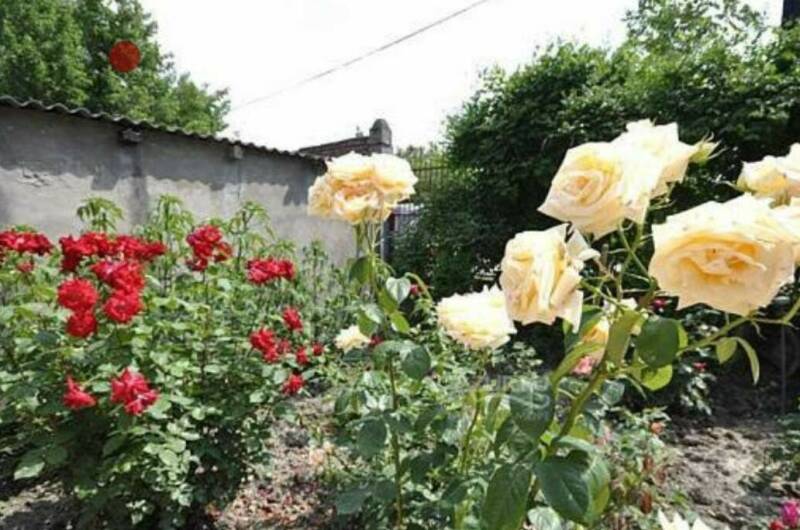 Изображение Изображение гостиницы &quot;Гостевой дом «София»&quot; #4 #2