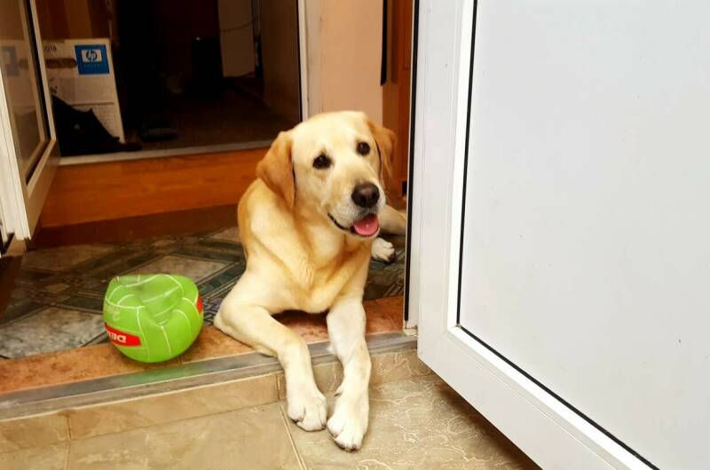 Изображение Изображение гостиницы &quot;Частный сектор «У Татьяны»&quot; #8 #6