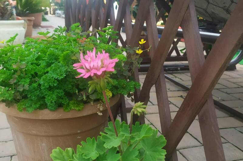 Изображение Изображение гостиницы &quot;Гостиница «Вокруг света»&quot; #9 #7