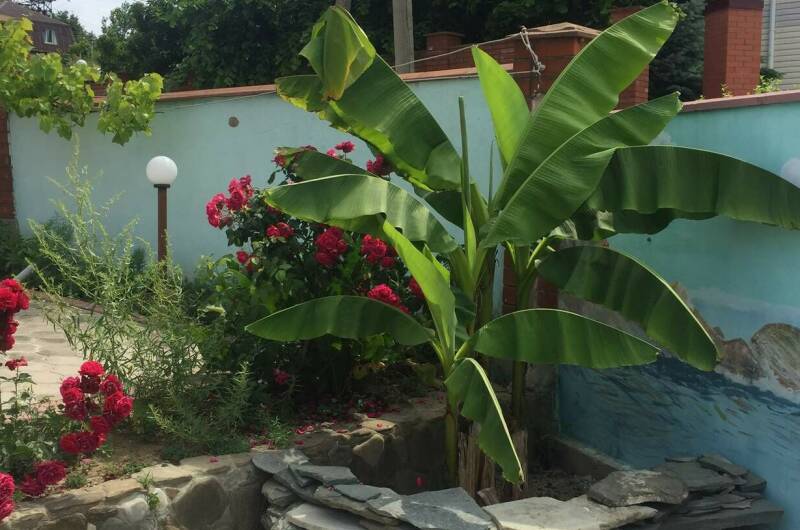 Изображение гостиницы "Частный дом «Лиза»" #1