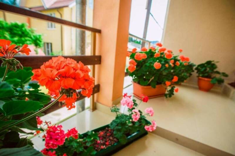 Изображение Изображение гостиницы &quot;Гостевой дом «Лора»&quot; #3 #1