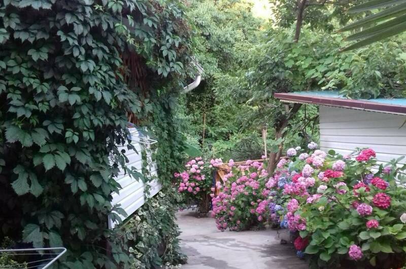 Изображение Изображение гостиницы &quot;Гостевой дом «Вероника»&quot; #3 #1