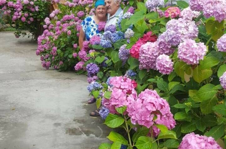 Изображение Изображение гостиницы &quot;Гостевой дом «Вероника»&quot; #4 #2