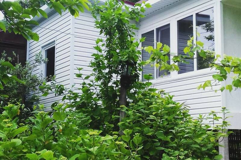 Изображение Изображение гостиницы &quot;Гостевой дом «Вероника»&quot; #8 #6