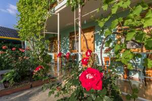 Изображение отеля / гостиницы "Гостевой дом «Ефимия»"