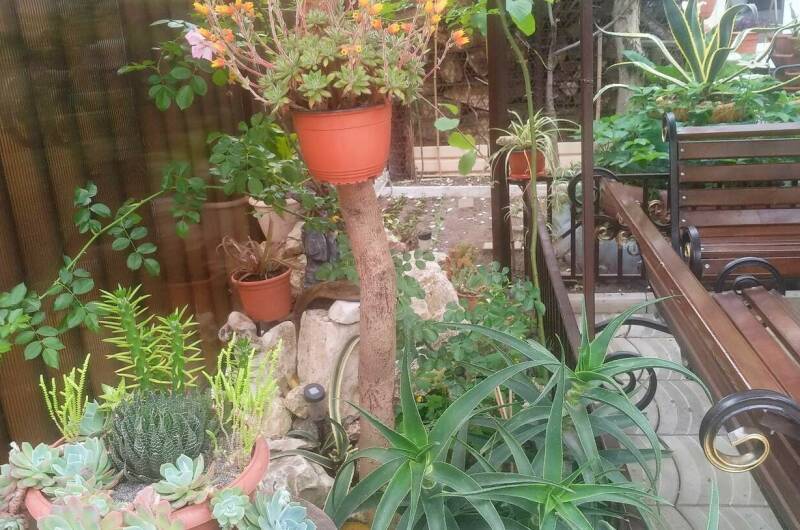 Изображение Изображение гостиницы &quot;Гостевой дом «У Марины»&quot; #4 #2