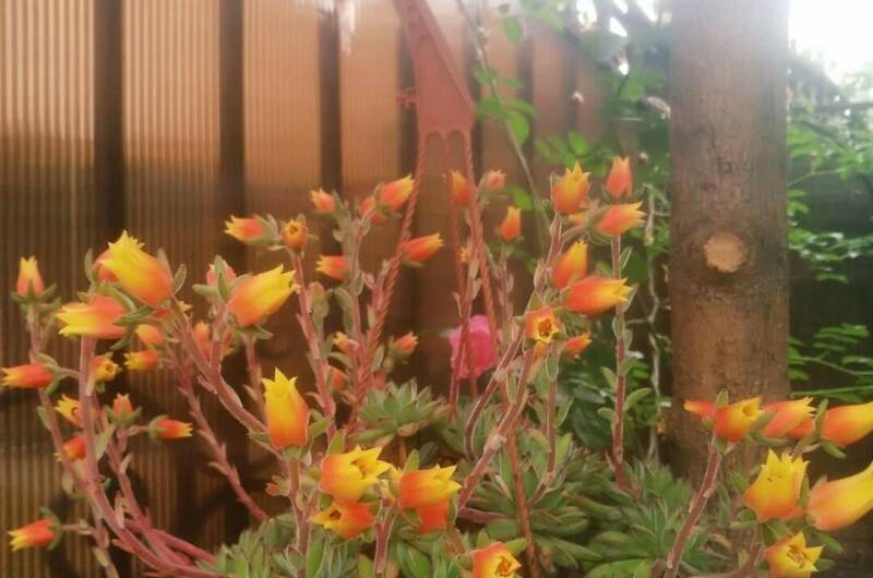 Изображение Изображение гостиницы &quot;Гостевой дом «У Марины»&quot; #5 #3