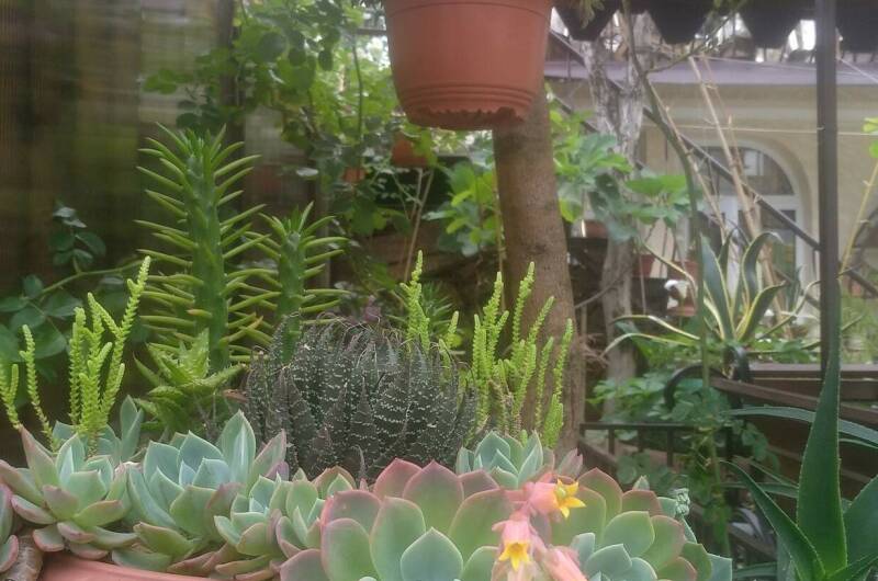 Изображение Изображение гостиницы &quot;Гостевой дом «У Марины»&quot; #7 #5