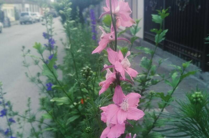 Изображение Изображение гостиницы &quot;Гостевой дом «У Марины»&quot; #8 #6