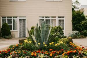 Изображение отеля / гостиницы "Гостевой дом «Лето»"