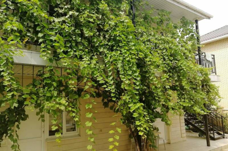 Изображение Изображение гостиницы &quot;Гостевой дом «Для семьи»&quot; #4 #2