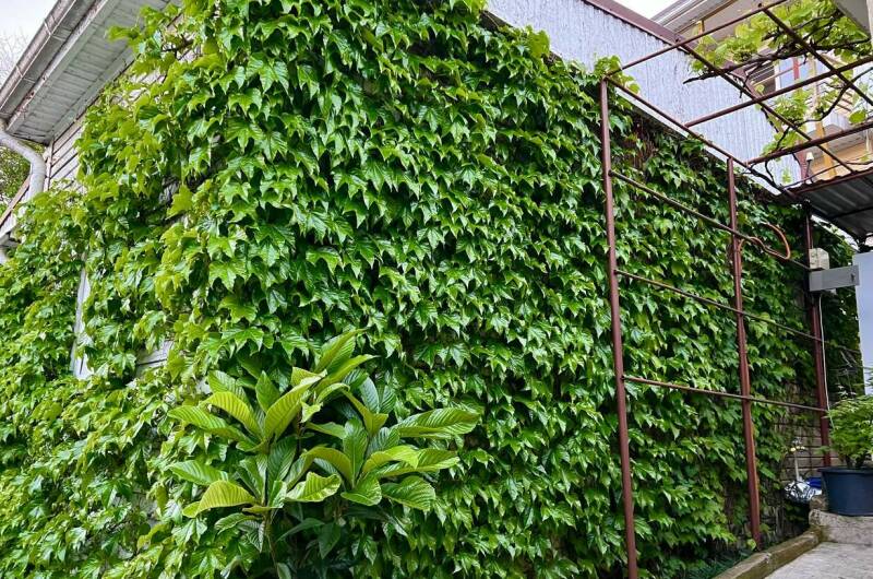 Изображение Изображение квартиры &quot;Коттедж «Агеевъ»&quot; #6 #4