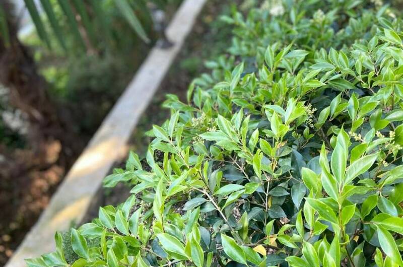 Изображение Изображение квартиры &quot;Коттедж «Агеевъ»&quot; #7 #5