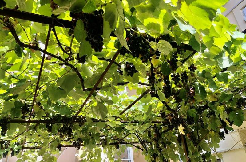 Изображение Изображение гостиницы &quot;Частный дом «У Бориса»&quot; #5 #3