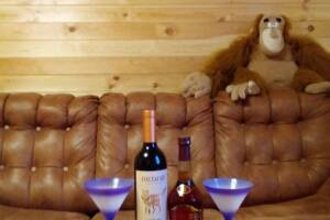 Изображение квартиры / апартамента "Коттедж «Морской Бриз»"